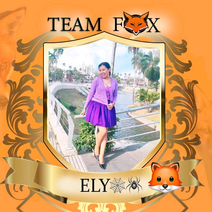 Ely _Dias❤️🕷️🕸️😊🦊 @elydias02