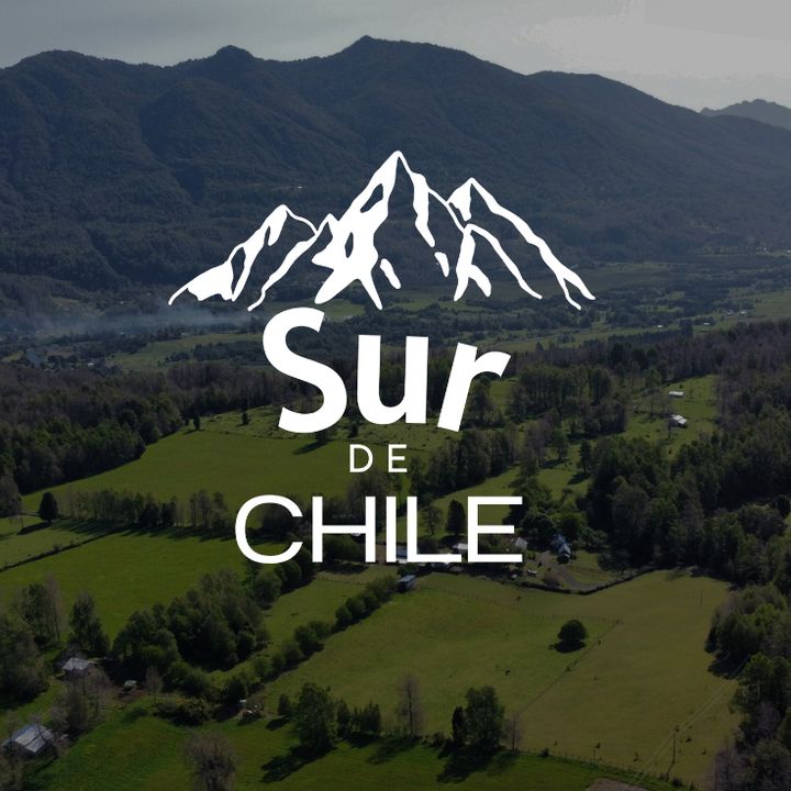 Sur de Chile @surdechile