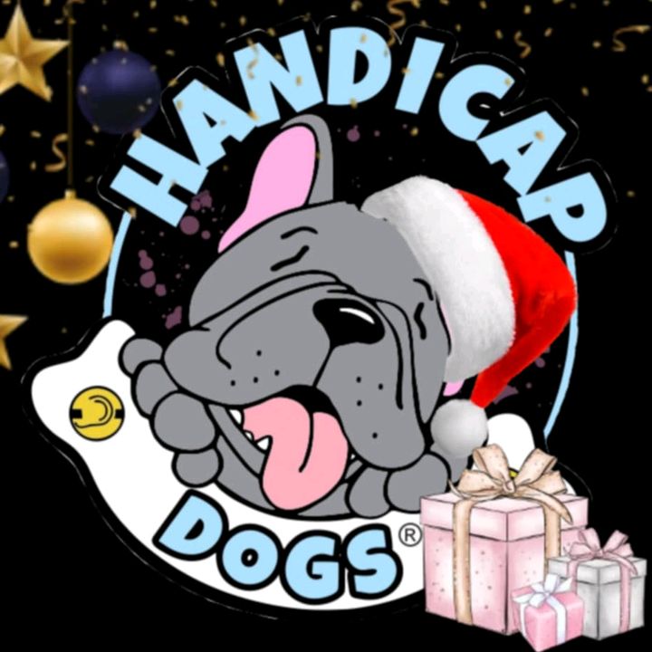 HandicapDogs e.V. @handicapdogs