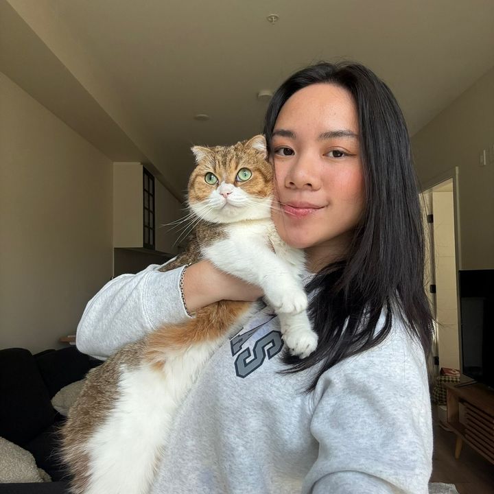 Samantha & Phoebe @phoebe.thescottishfold