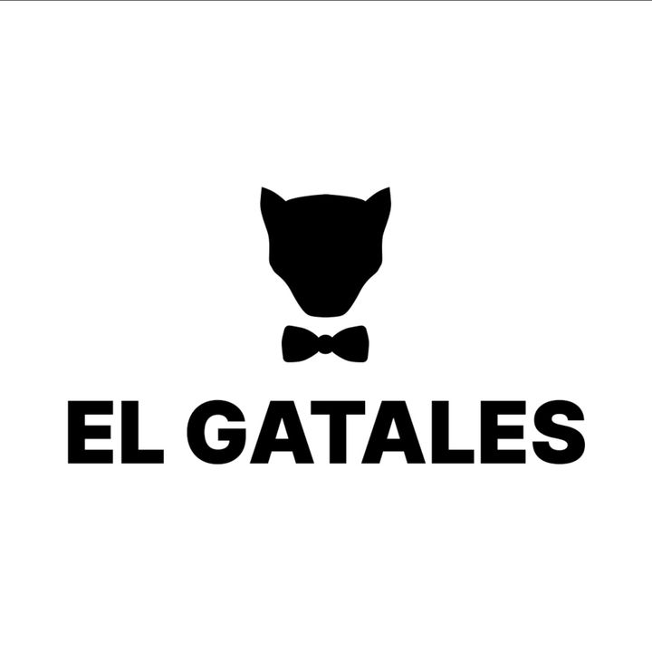 elgatales @elgatales6