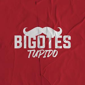 BigotesTupido @bigotestupido