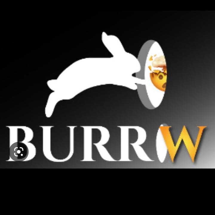 rabbitburrow @burrowrabbit