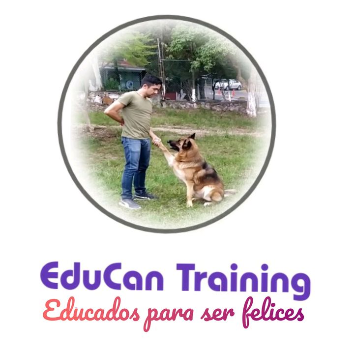 Alejandro Gonzalez @educantraining