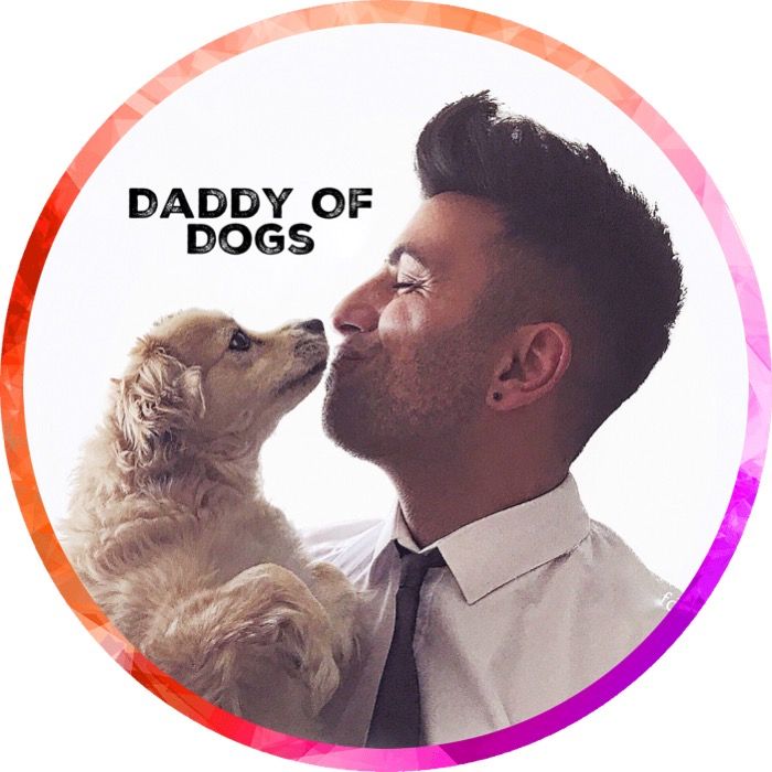 daddyofdogs @daddyofdogs