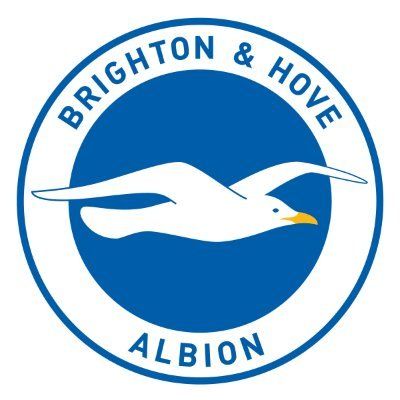 Brighton & Hove Albion FC @officialbhafc