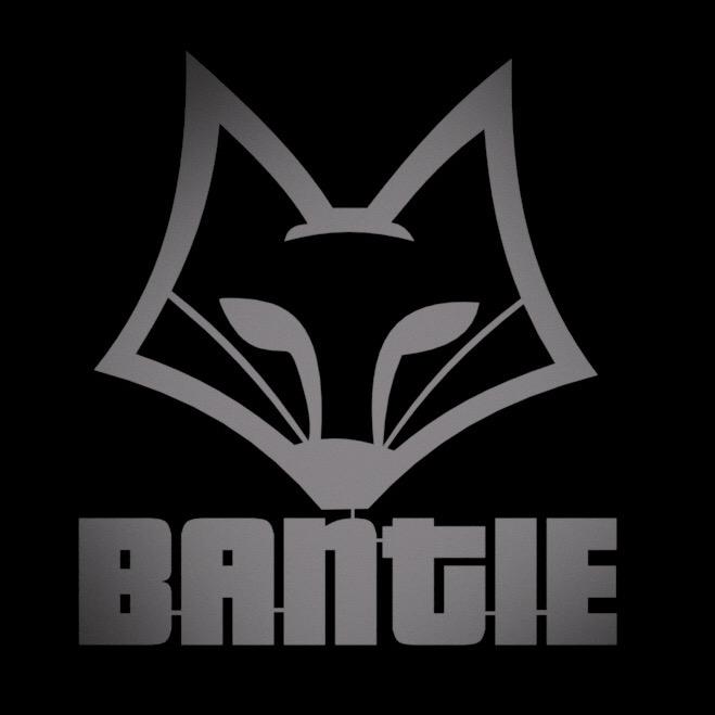 Bantie @bantiegames
