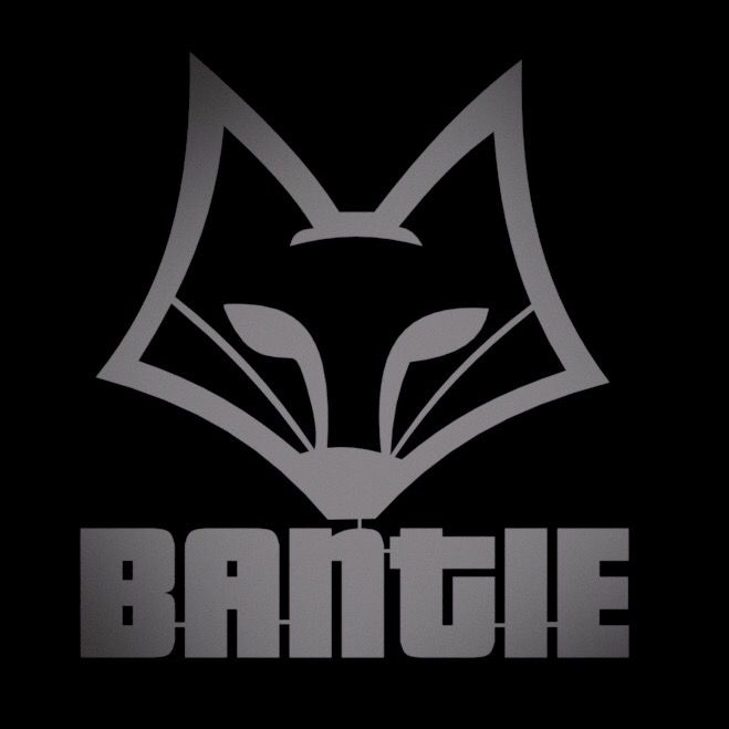 Bantie @bantiegames