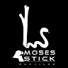 Moses Stick Reptiles @moses_stick