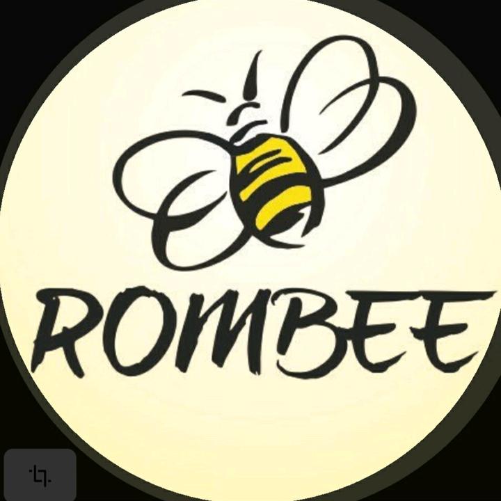 🍯RomBee @rombee2022