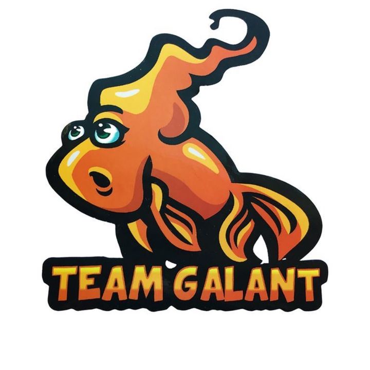 Team Galant @teamgalant_official