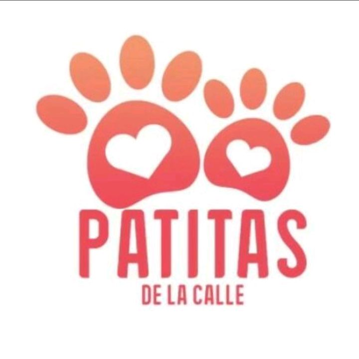 patitas de la calle @patita_dela_calle