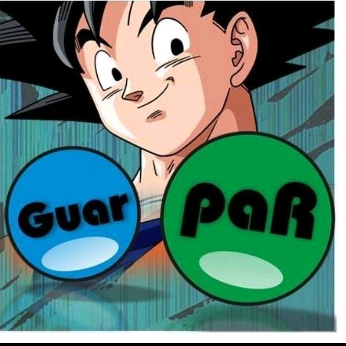 GuarpaRpy @guarpar.py