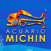 AcuarioMichin.CiudaddeMéxico @acuariomichin.cdmx