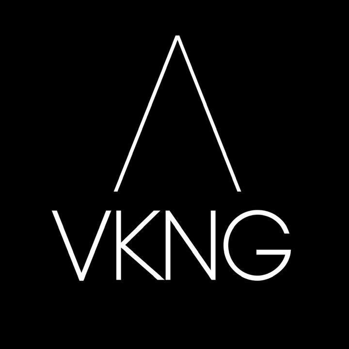 𝗩𝗜𝗞𝗜𝗡𝗚 𝗔𝗚𝗘𝗡𝗖𝗬 @viking.agency