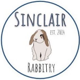 Sinclair rabbitry | 🐰bunnies @sinclair.rabbitry