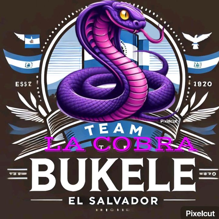 🪱🪱TEAM BUKELE 🇸🇻🦋🪱 @bacilisco12