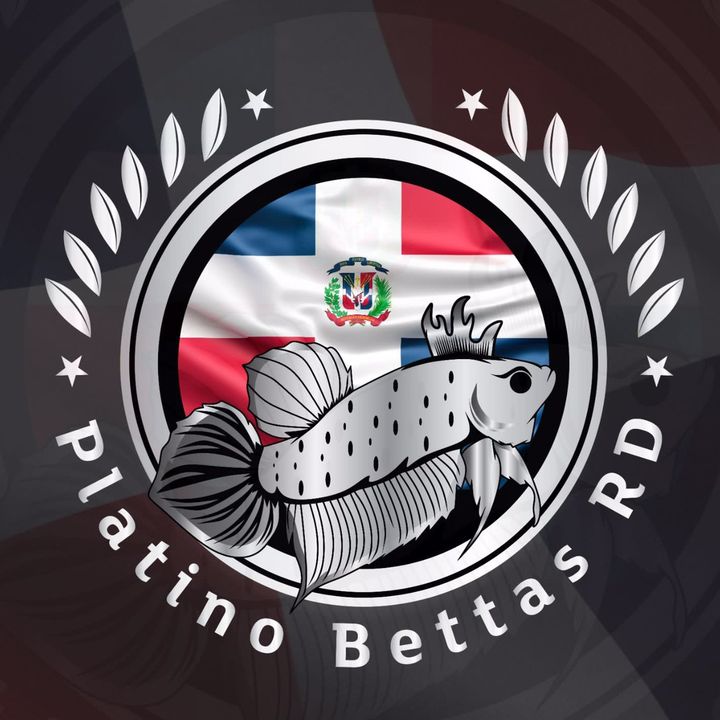 platino bettasRD @platinobettas