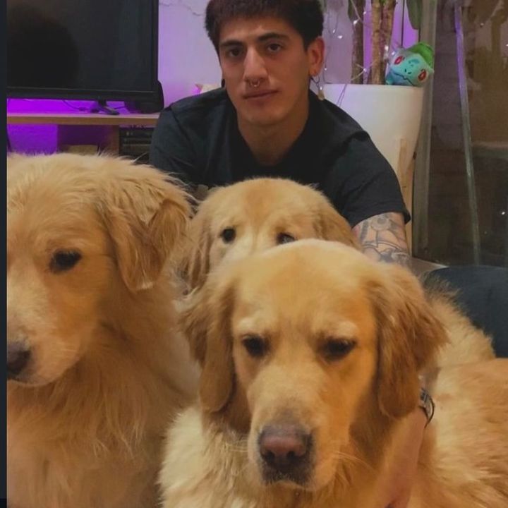 Matt y los tres goldens @mathi.mcfly