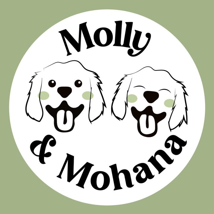 Mollys and mohanas golden life @mollyandmohanaglife