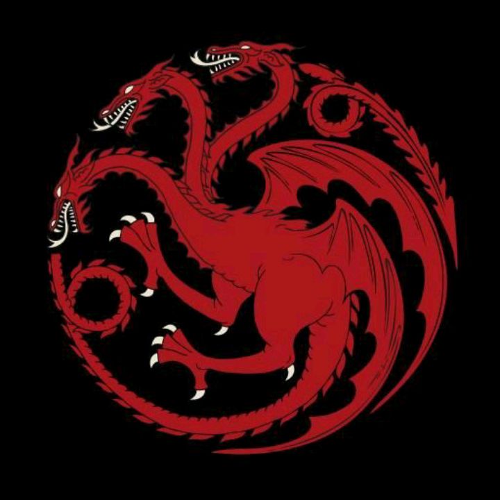 HOUSE OF THE DRAGON @targaryen_0627