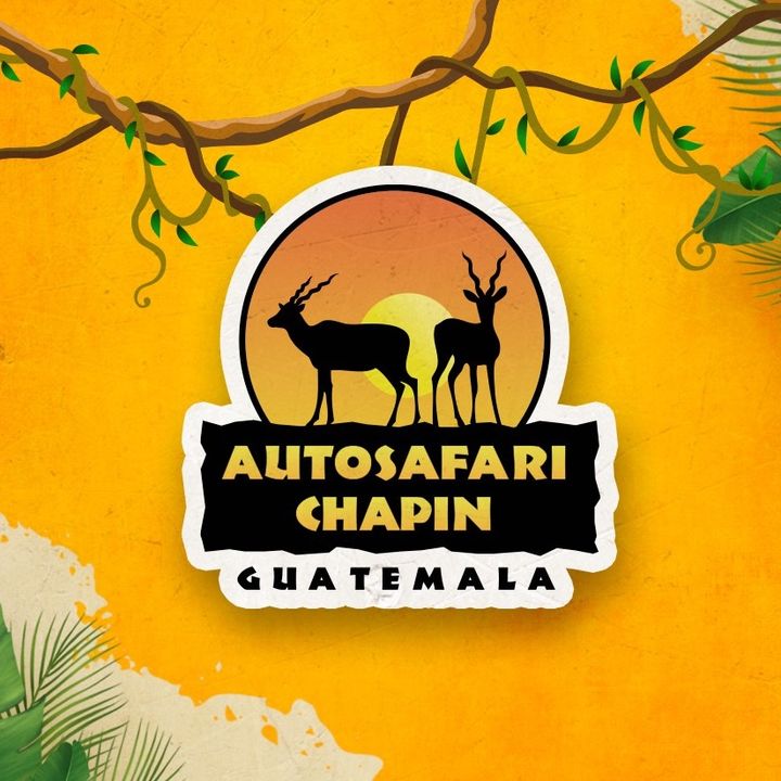 Auto Safari Chapin @autosafarichapin