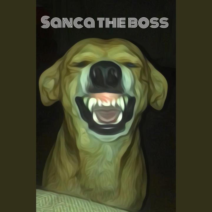 Sanca The boss555 @sancatheboss3
