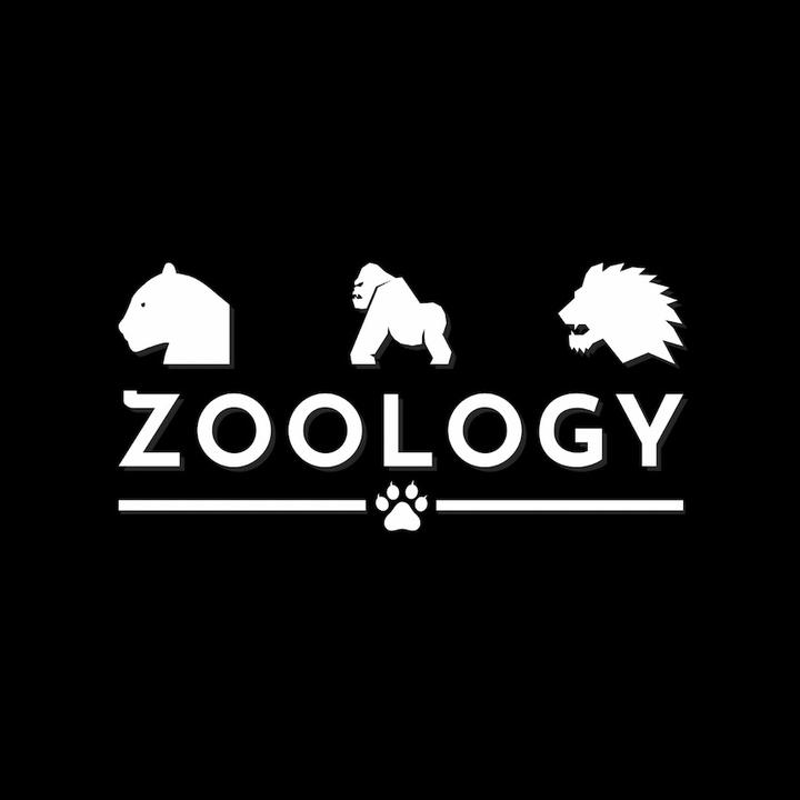 Everything Animals 🦍 @zoology3.0