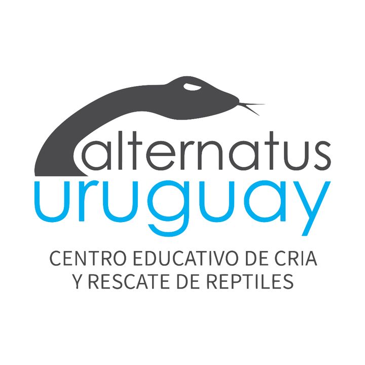 Alternatus Uruguay @alternatus_uruguay