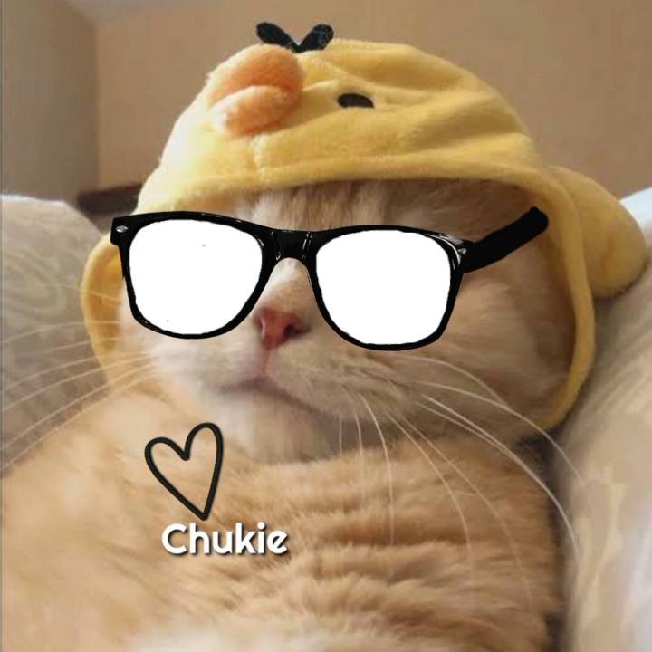 Chukie•칼포지🧀 @chukie_ck16
