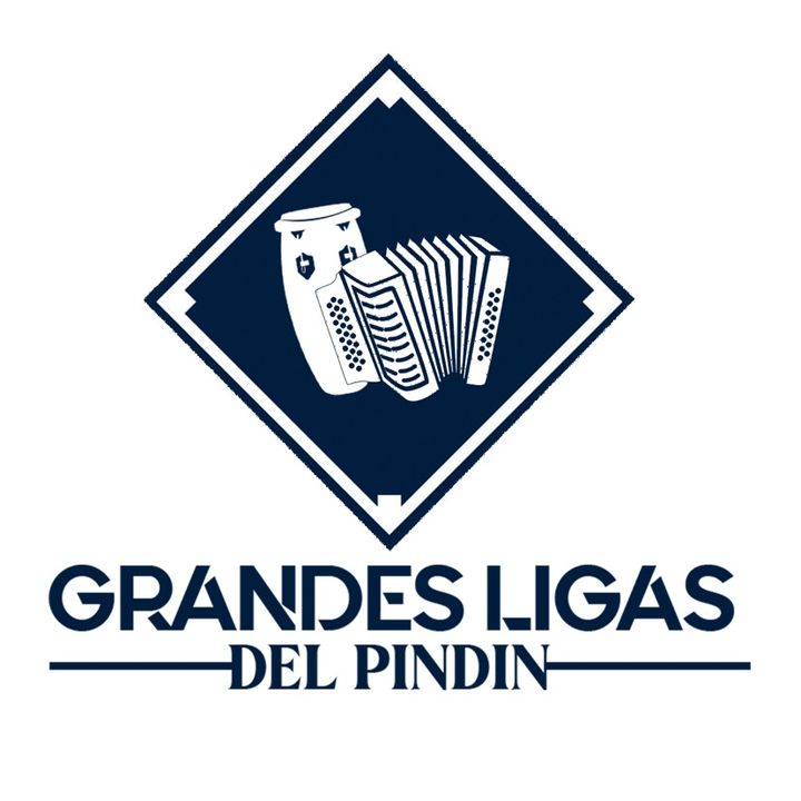 Grandes Ligas del Pindín @losgrandesligas