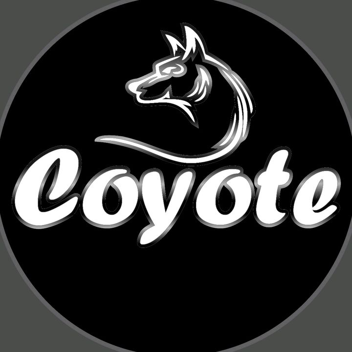 Coyote Moto Repuestos Py @coyote.motorepuestos