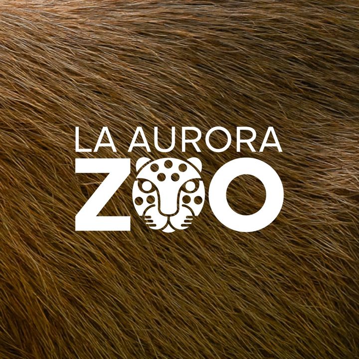 Zoo La Aurora @zoolaaurora