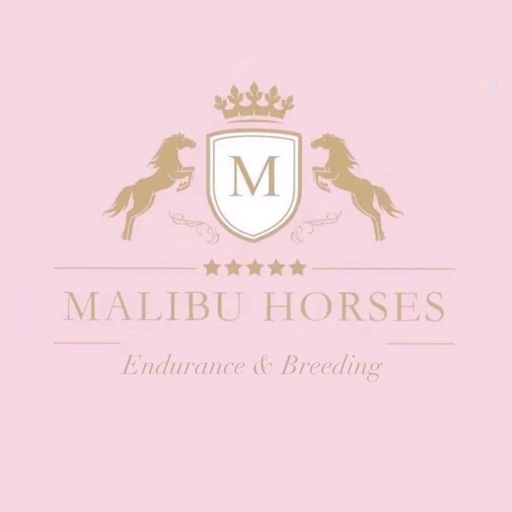 Malibu Horses @malibu_horses