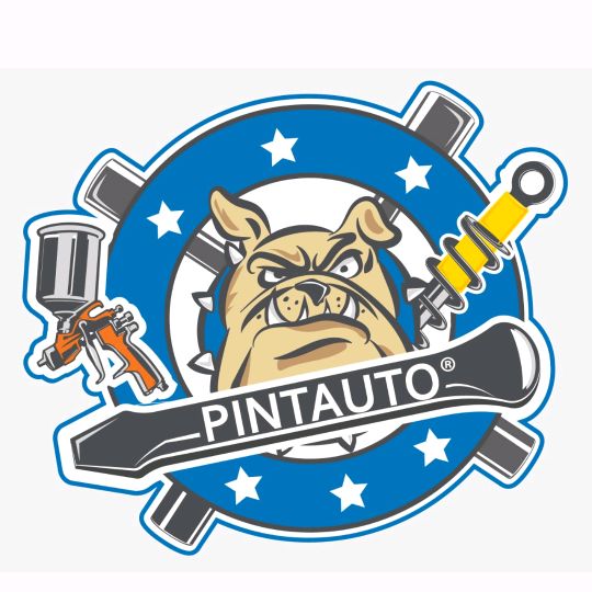 pintauto.s.a.s @pintauto.s.a.s