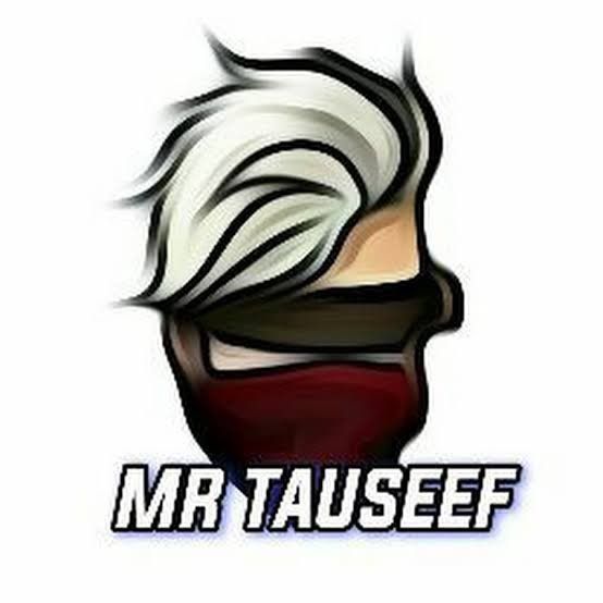 STM | Mr Tauseef @mrtauseefofficial