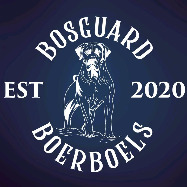 Bosguard Boerboels @bosguardboerboels