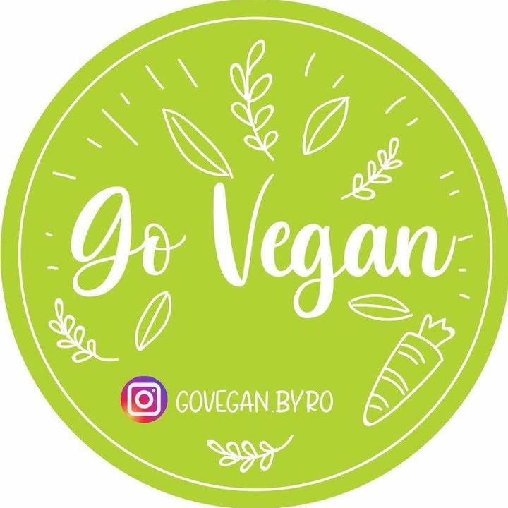 GO VEGAN • Recetas Veganas @govegan.byro