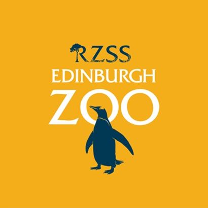 Edinburgh Zoo @rzssedinburghzoo