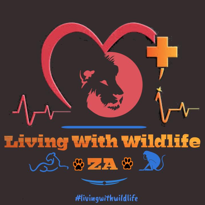 Living🐾with🐾Wildlife🦁🇿🇦 @living.with.wildlife