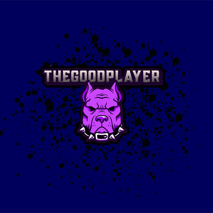 Thegoodplayer @thegoodplayer5